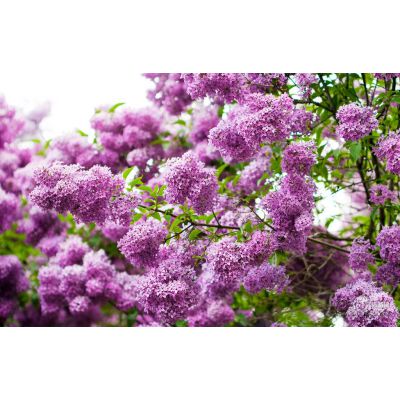 價(jià)格 廠家 中國(guó)供應(yīng)商